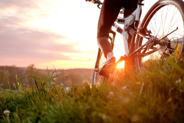 Experiencia Walk And Bikes