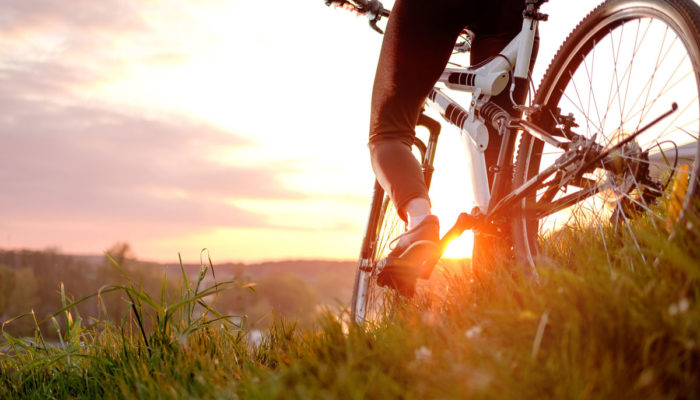 Experiencia Walk And Bikes